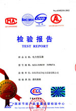 楚雄电力变压器检测报告